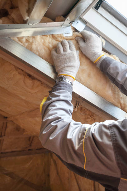 Best Blown-In Insulation  in Montgomery, MN