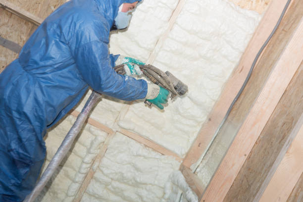 Best Crawl Space Insulation  in Montgomery, MN